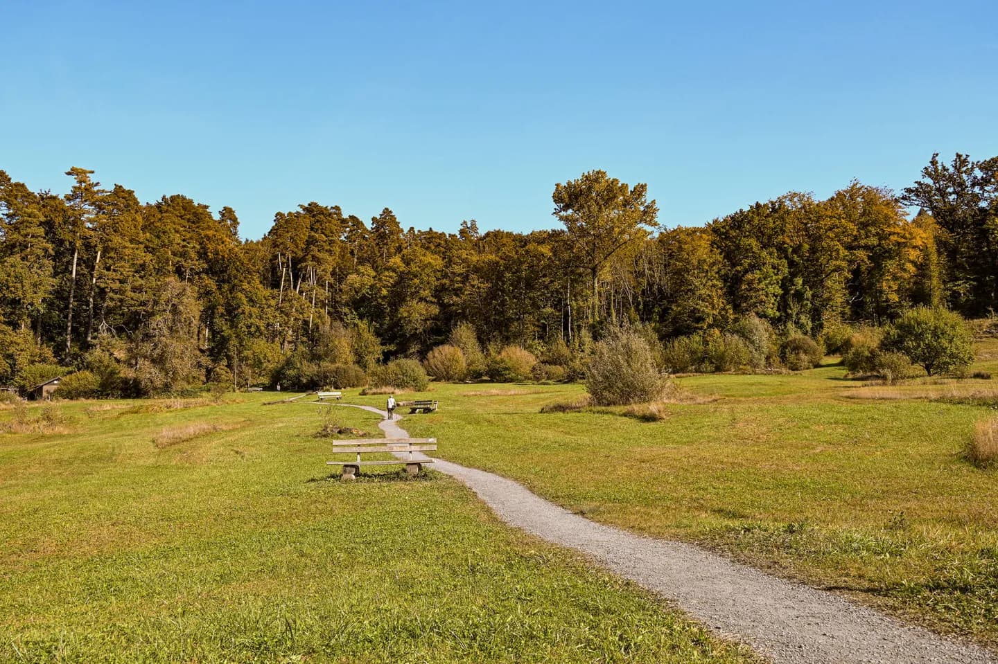 Allmend Naturgebiet