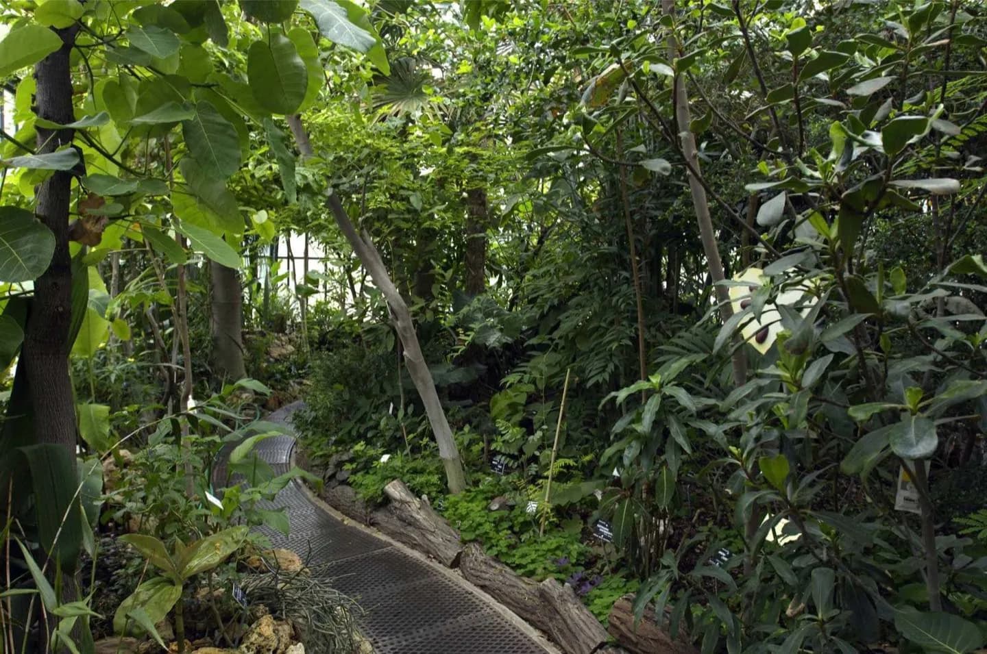 Lyon Botanical Garden
