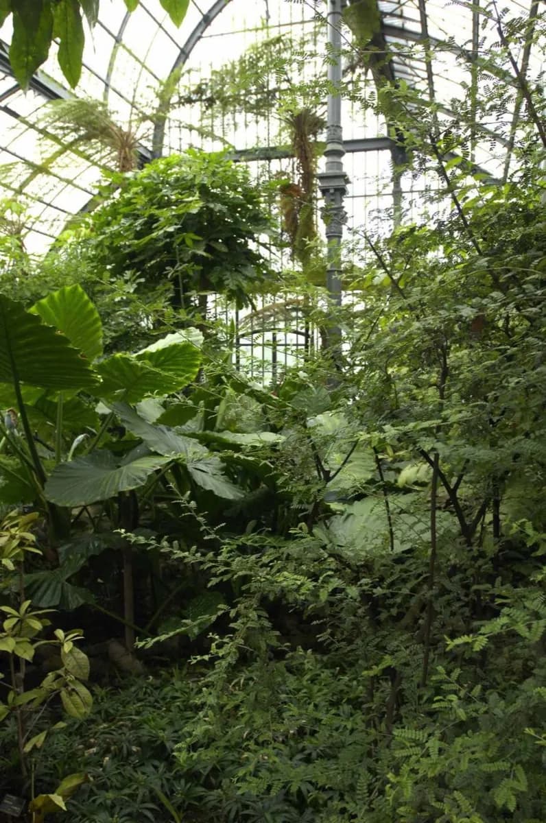 Jardin botanique de Lyon · 2