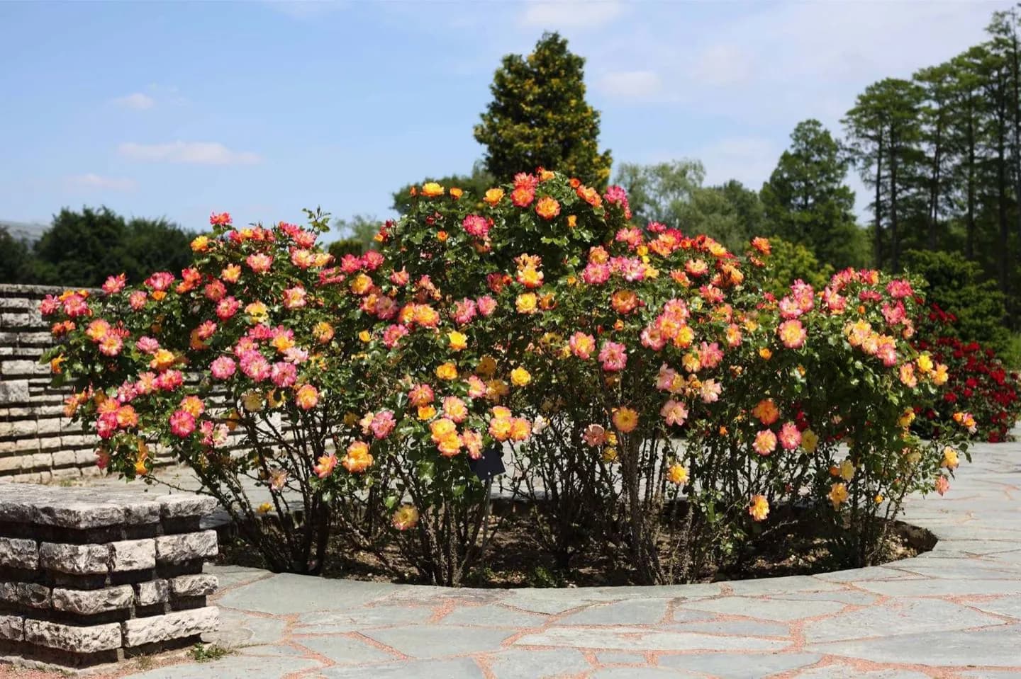 Parque de la Tête d'Or