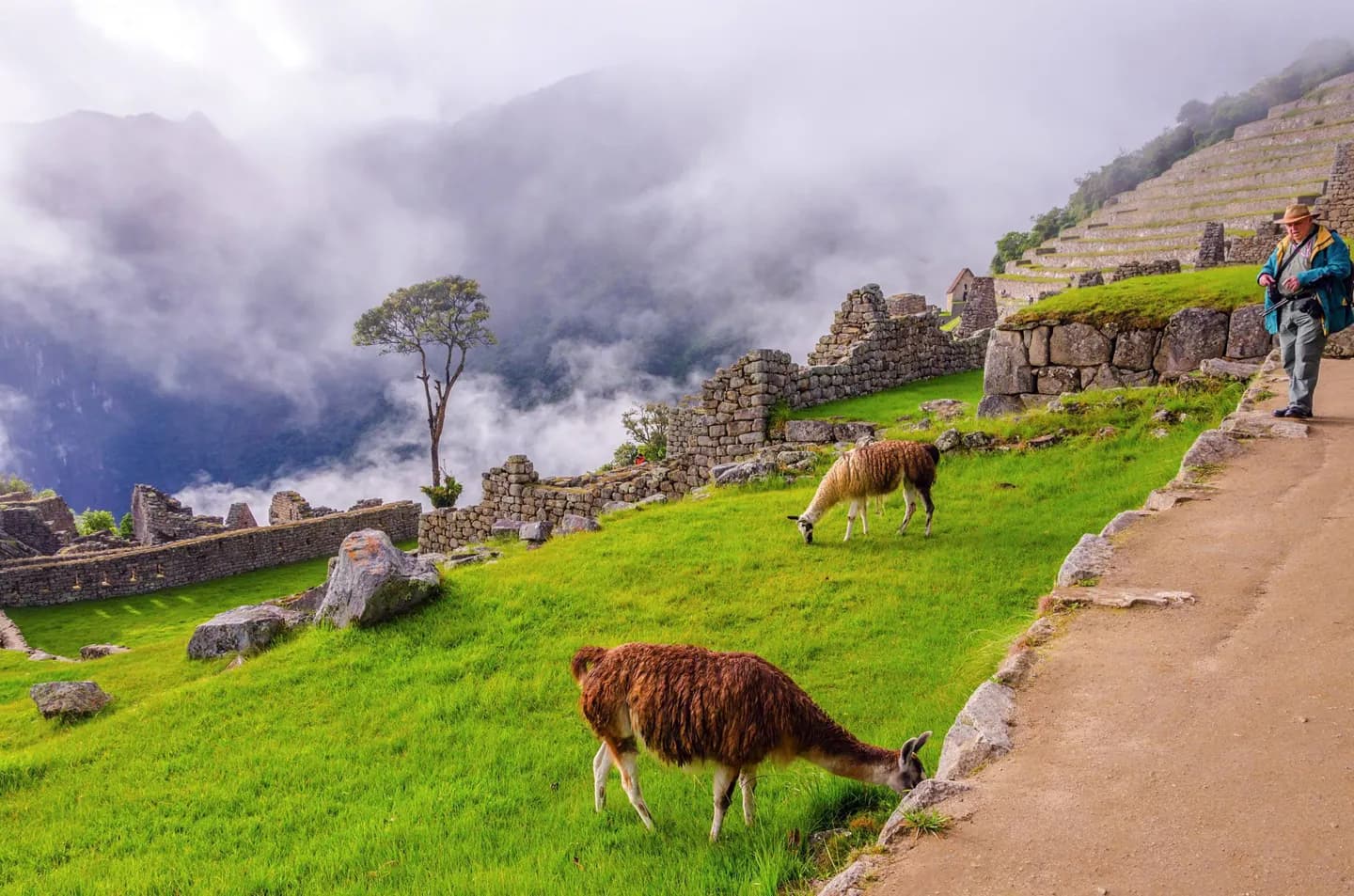 Wie Machu Picchu arrangiert ist · 2