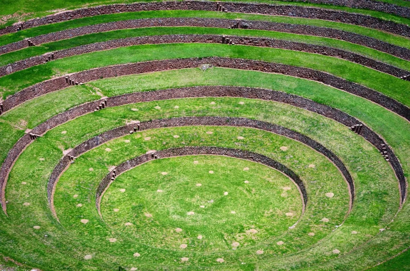 Moray
