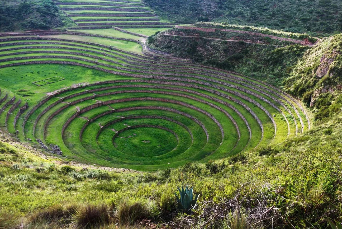 Moray · 2