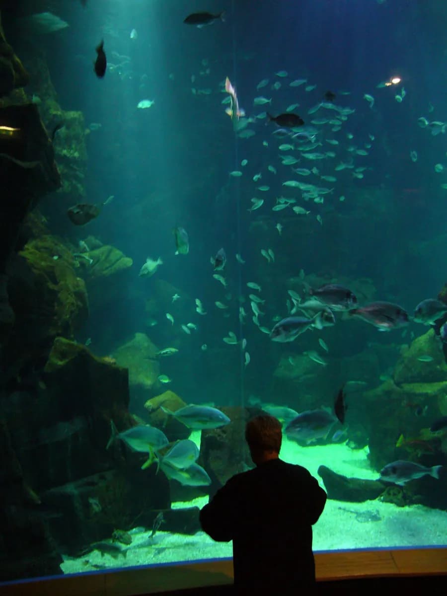 Acuario de Madeira