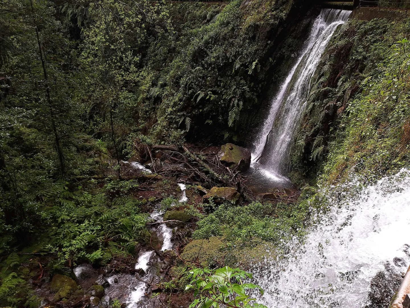 PR16 Levada Fajã do Rodrigues