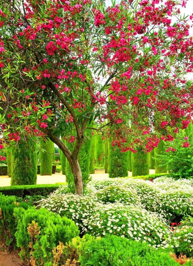 El Capricho de la Alameda de Osuna · 2