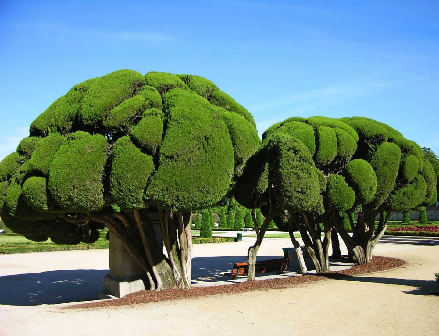 Paseo del Prado · 2