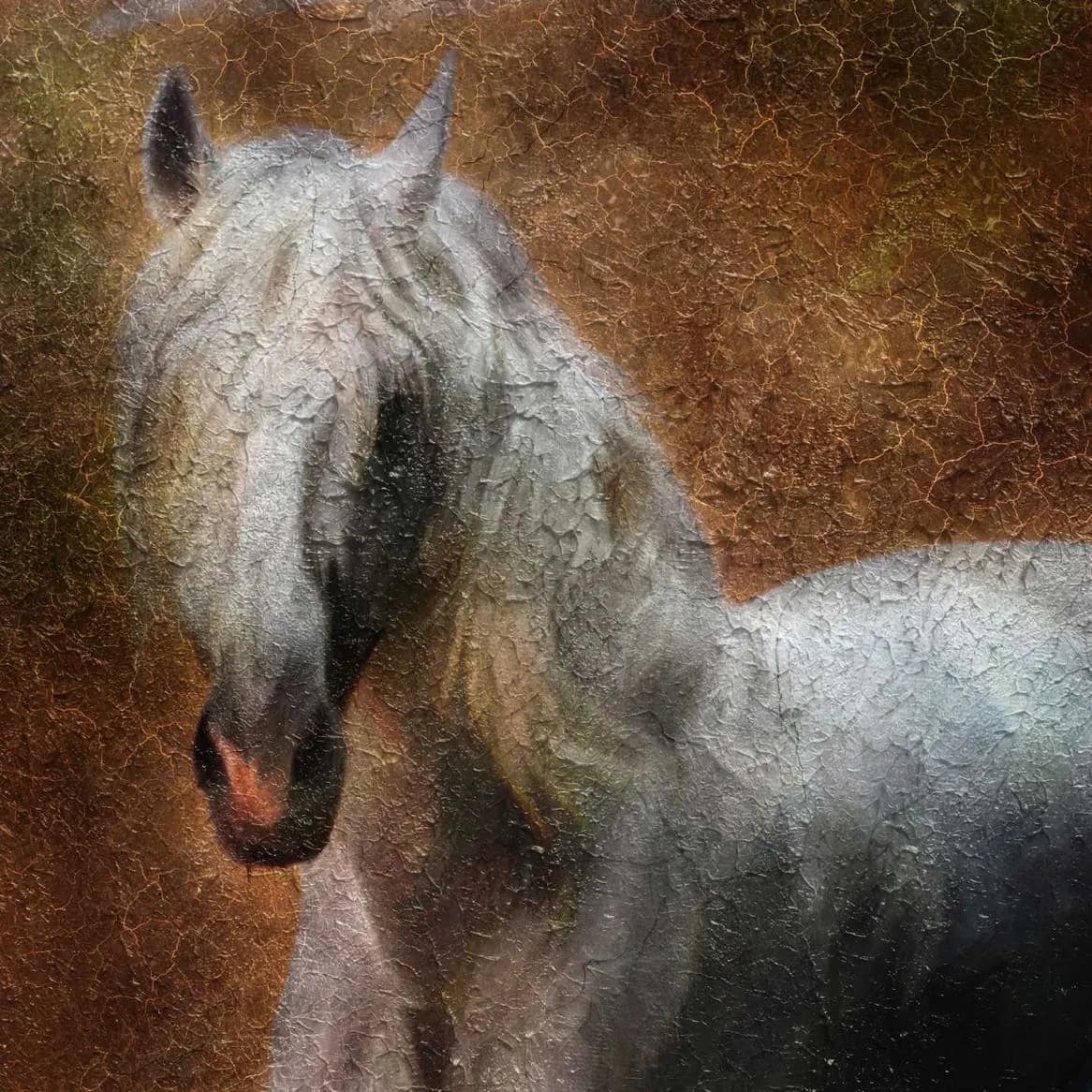 马拉加卡门·蒂森博物馆。 · 2
