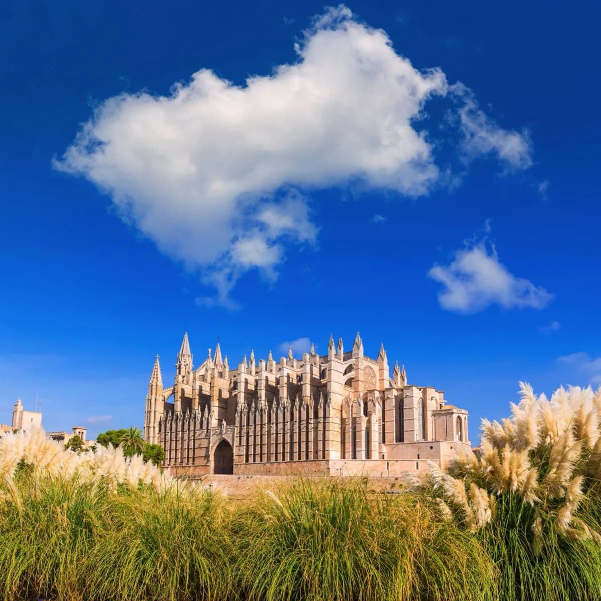 Barrio de la Catedral de Palma