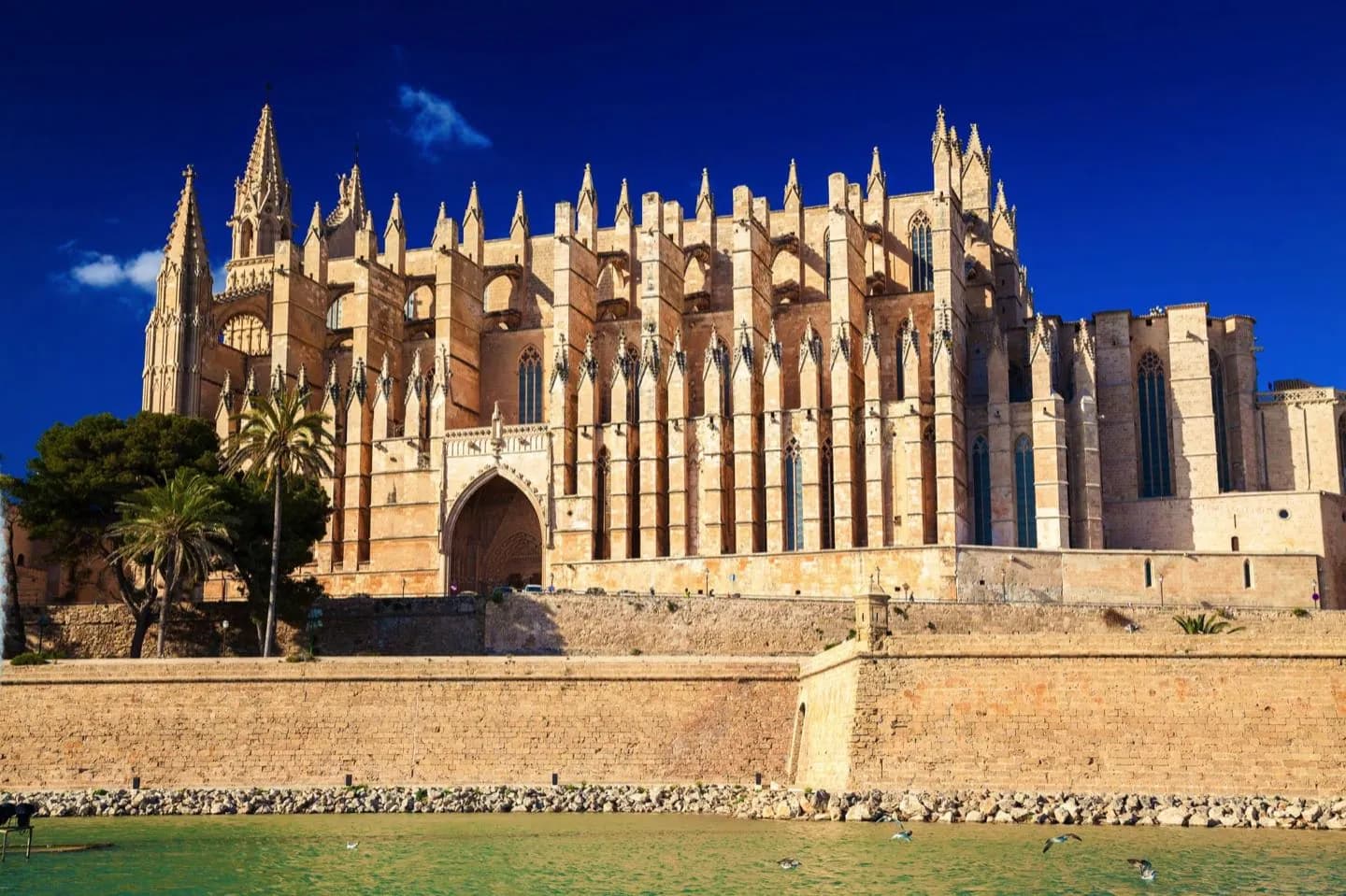 Barrio de la Catedral de Palma · 2