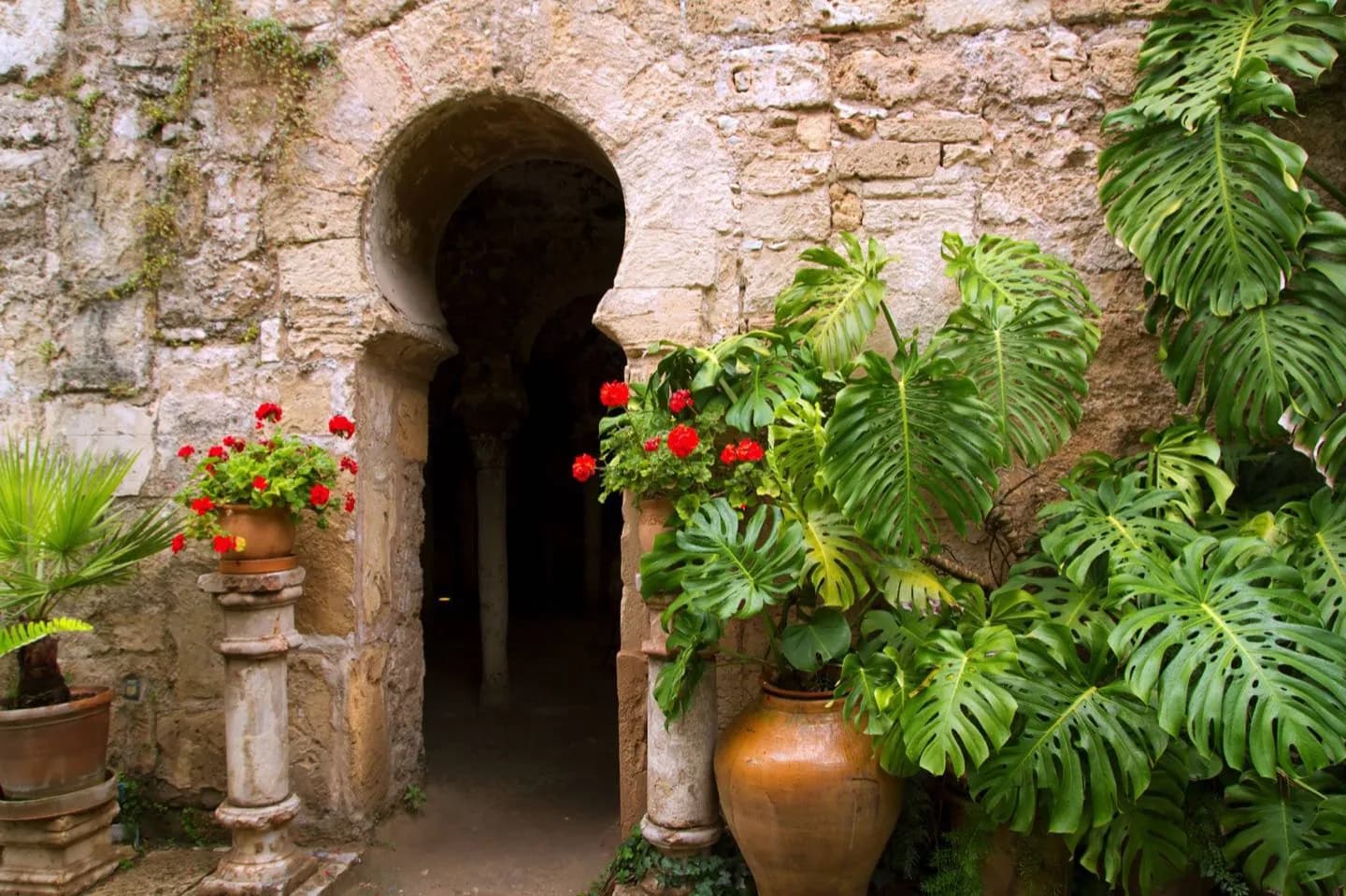 Reading Palma's History in the Old City · 5