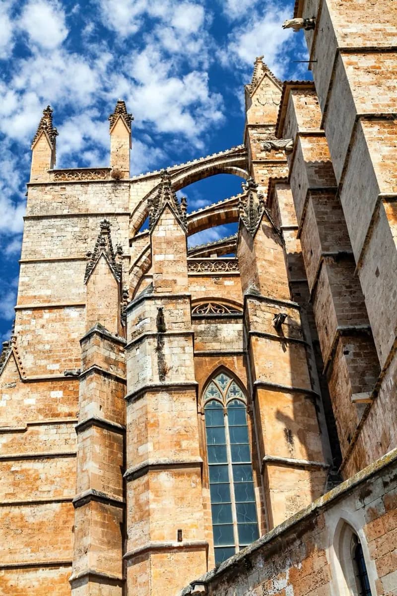 Reading Palma's History in the Old City · 8