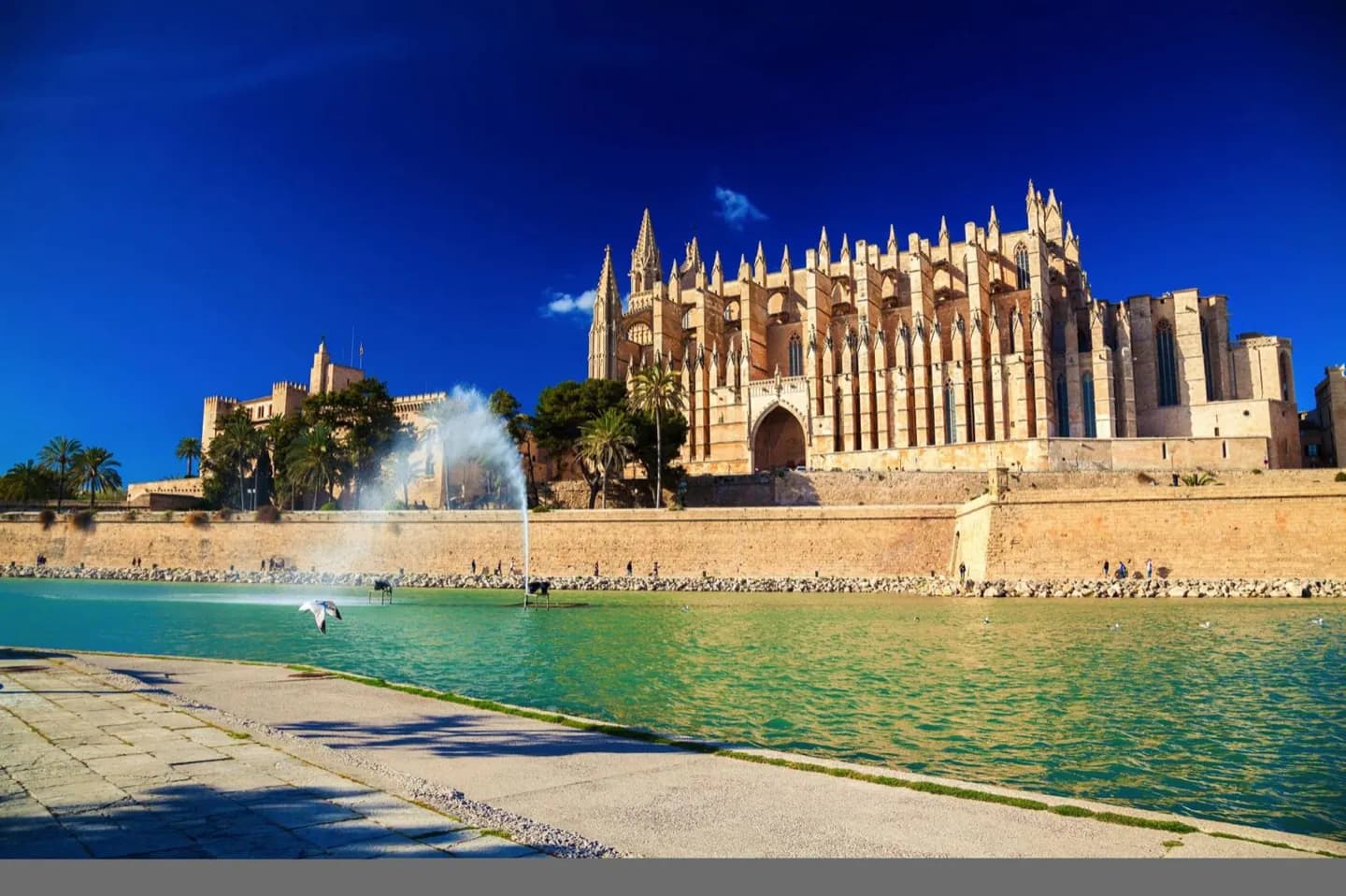 Reading Palma's History in the Old City · 9