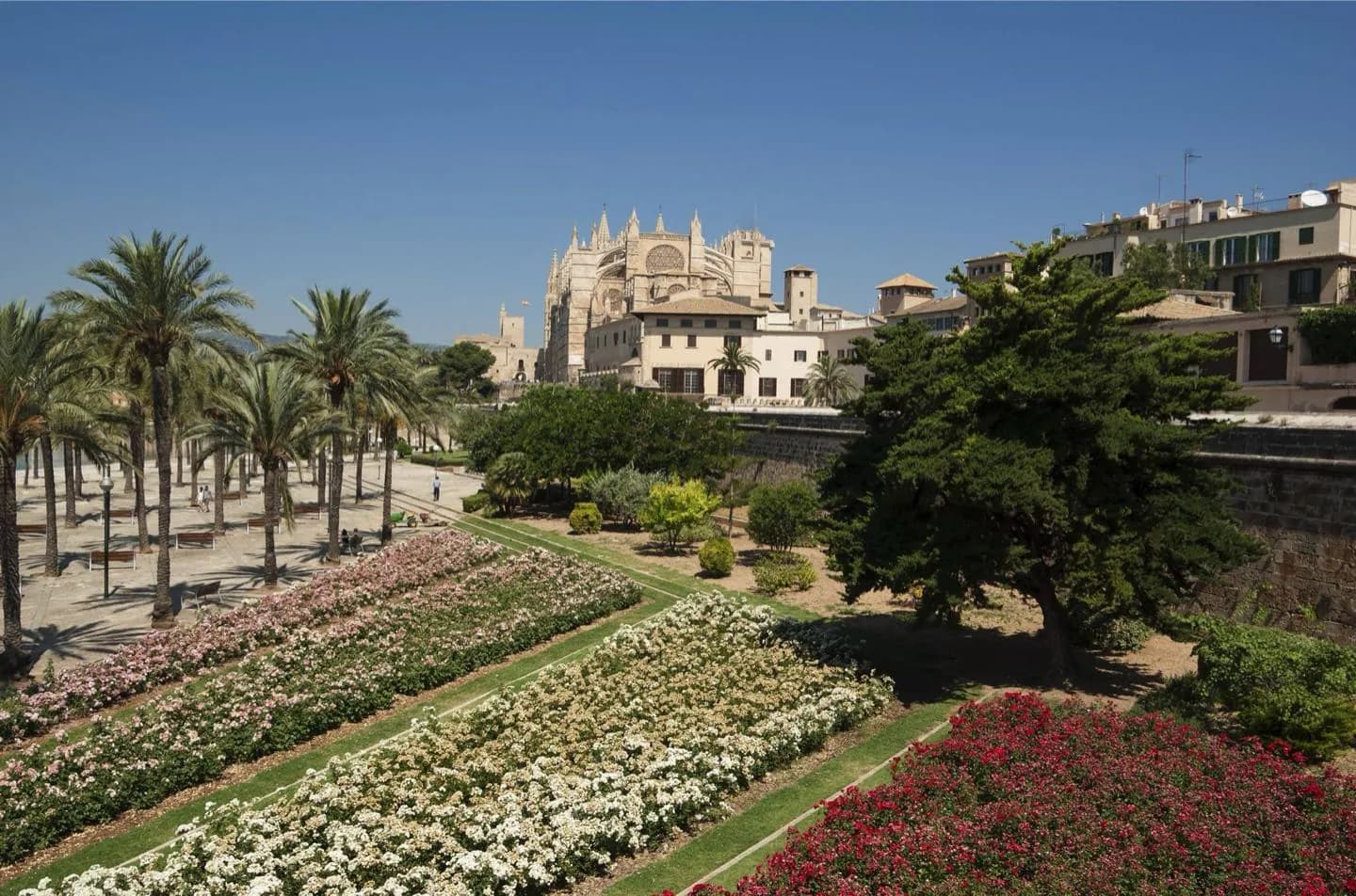 Reading Palma's History in the Old City · 12