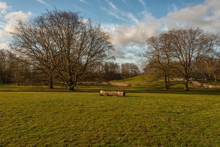 Beijers park