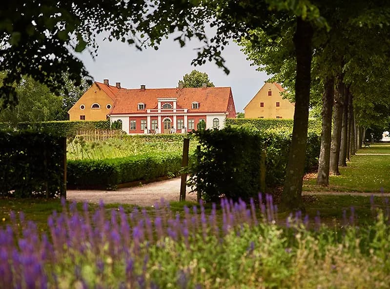 Katrinetorp landeri