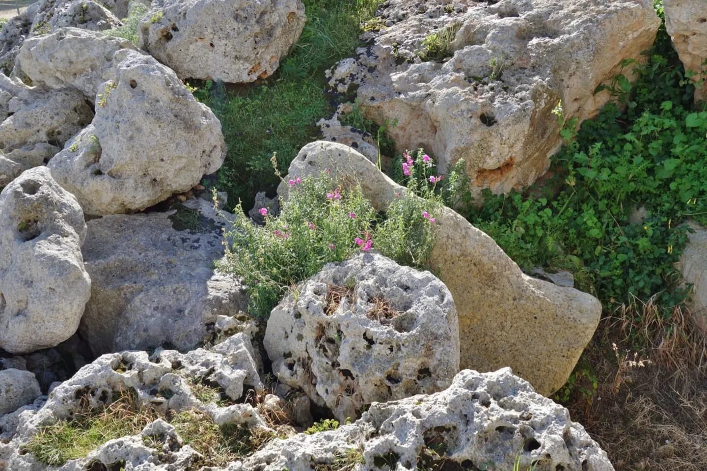 Misraħ Għar il-Kbir Cart Ruts