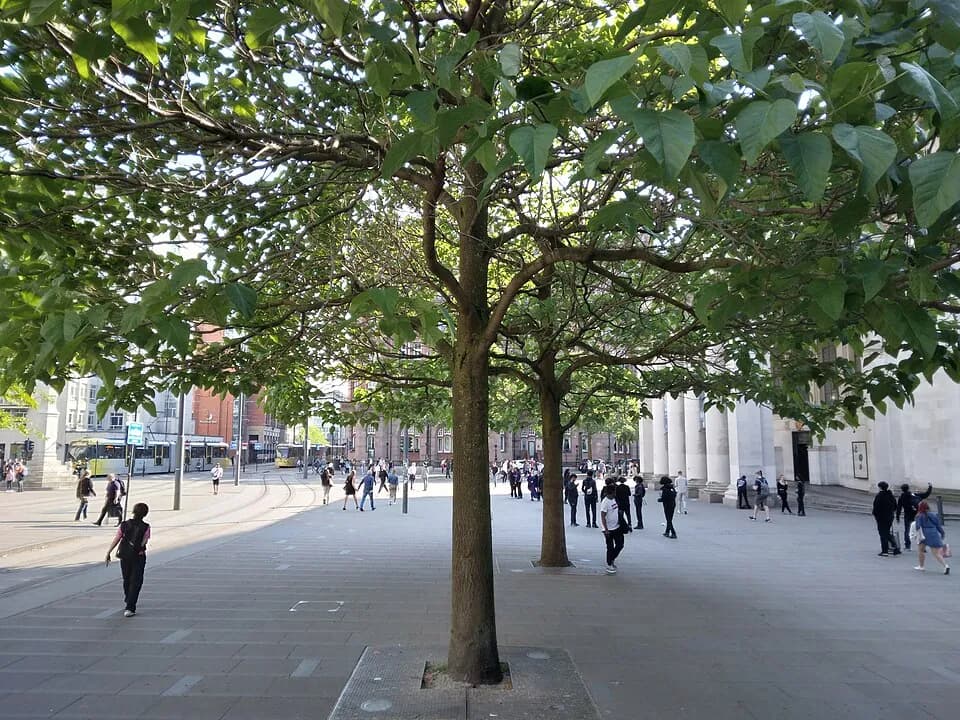 Praça de São Pedro