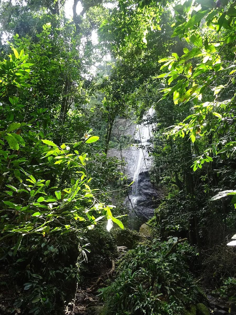 Couleuvre Wasserfallpfad