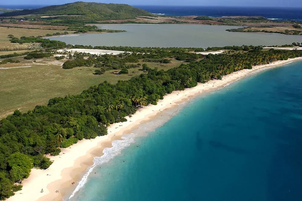 Étang des Salines