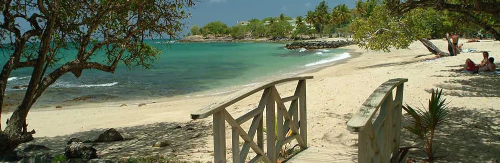 Playa Gros Raisin