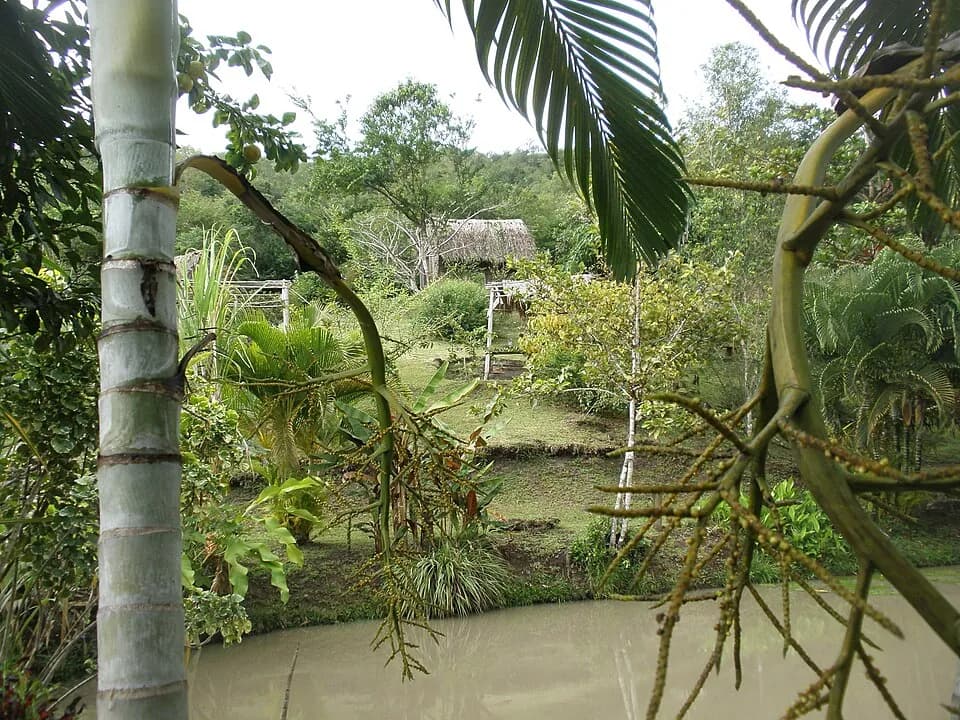 La Savane des Esclaves