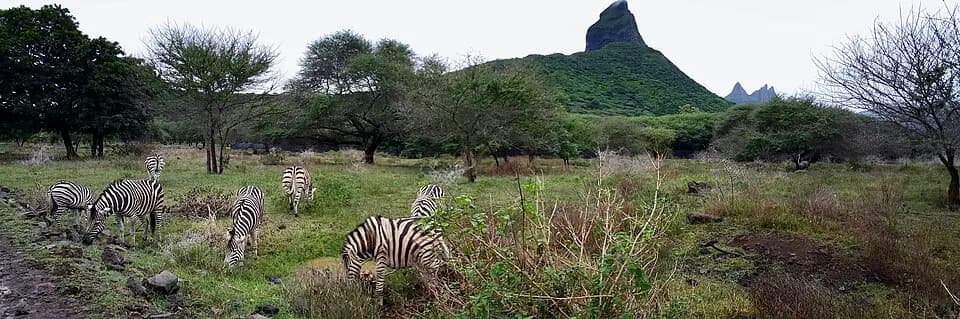 Parques Naturais Casela