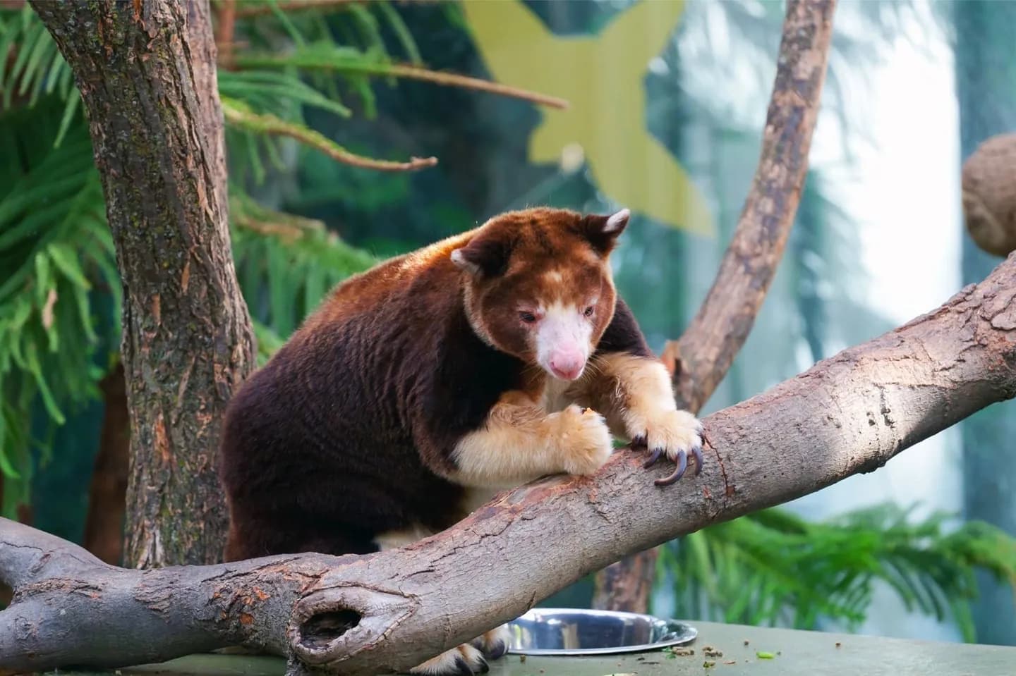 Melbourne Zoo · 2