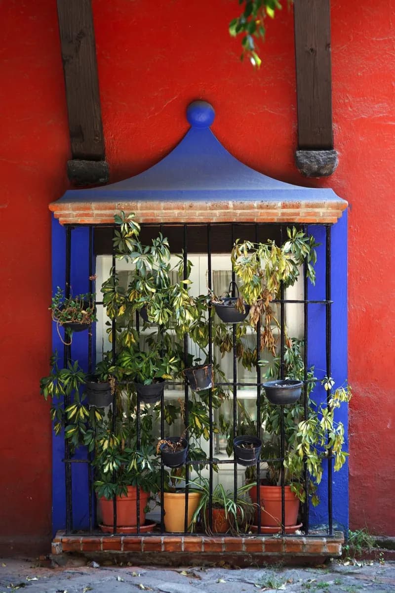 Coyoacán · 2