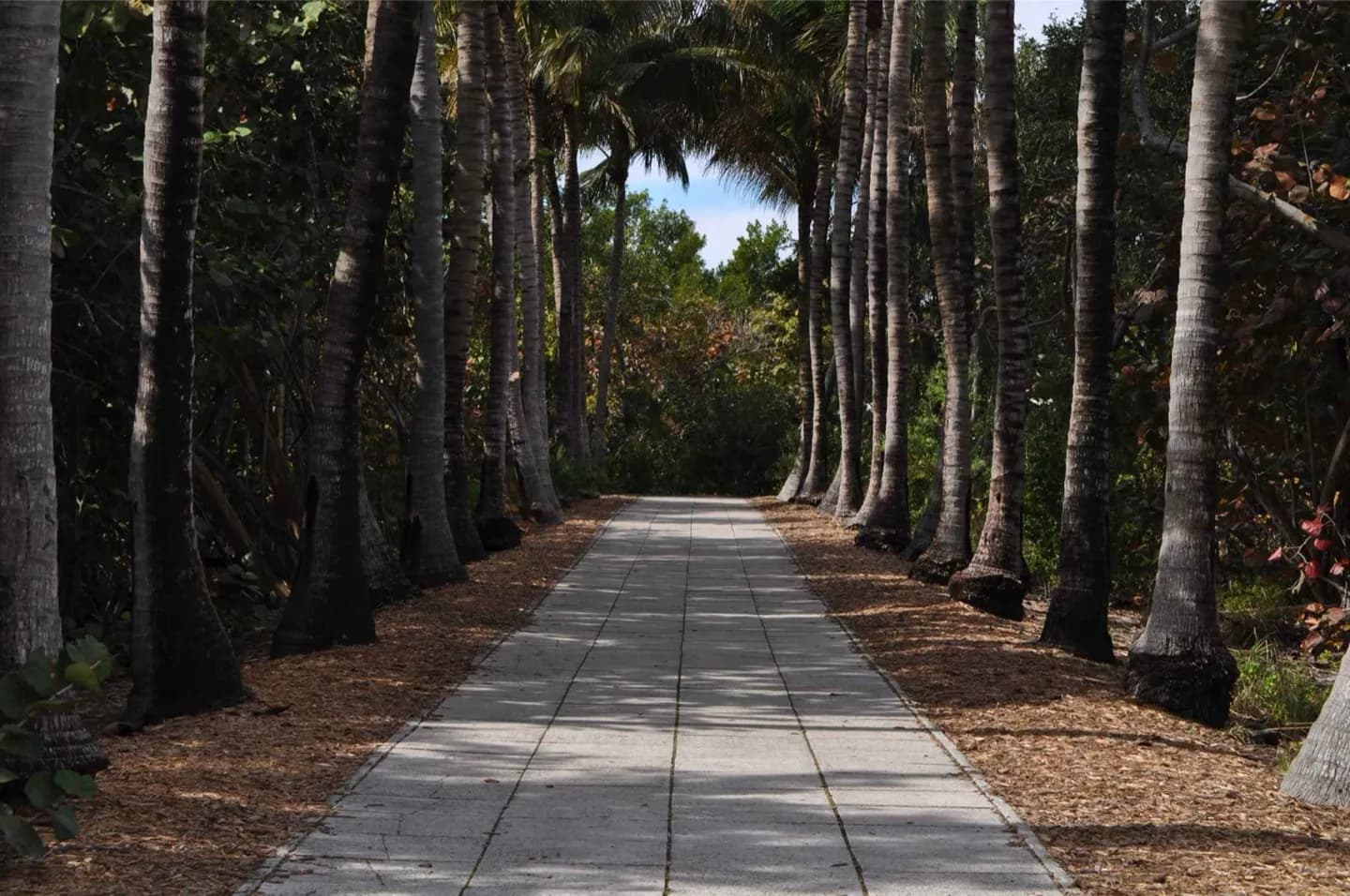 Key Biscayne · 2