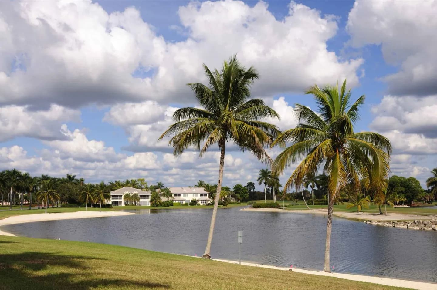 Palm Beach · 2