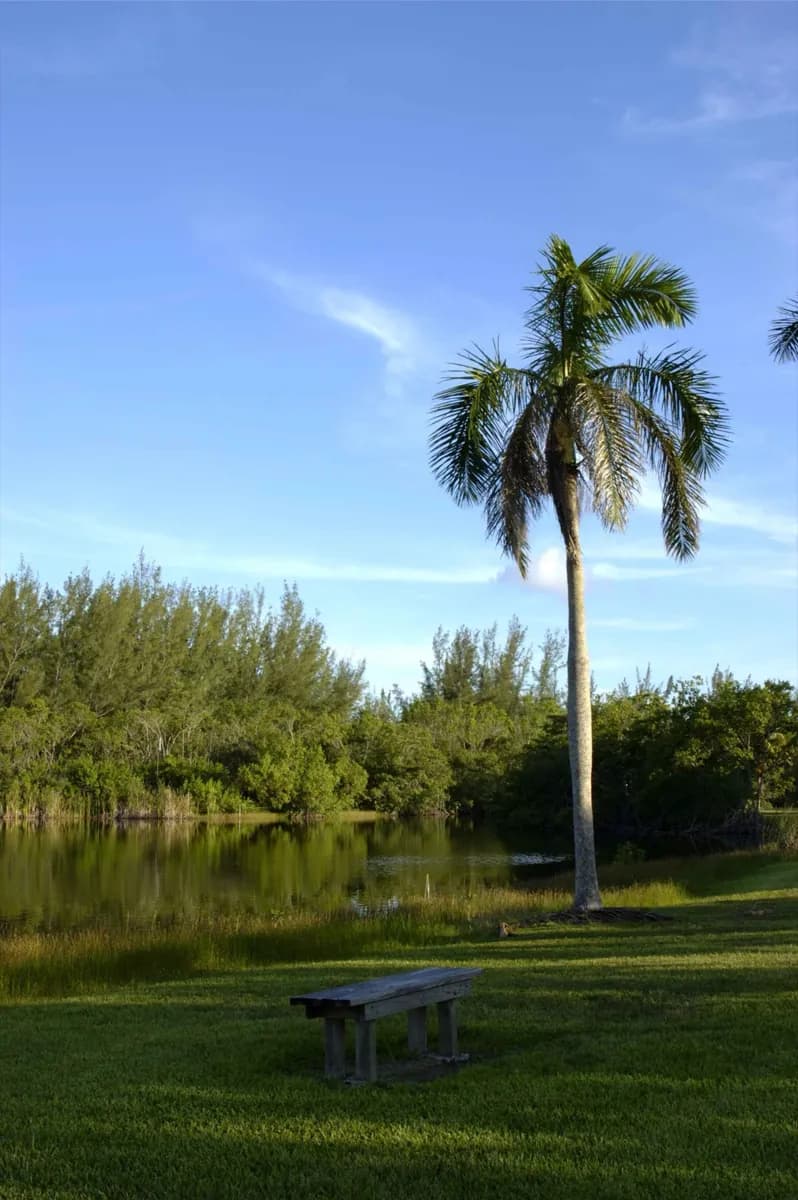 Bayfront Culture to Coral Gables
