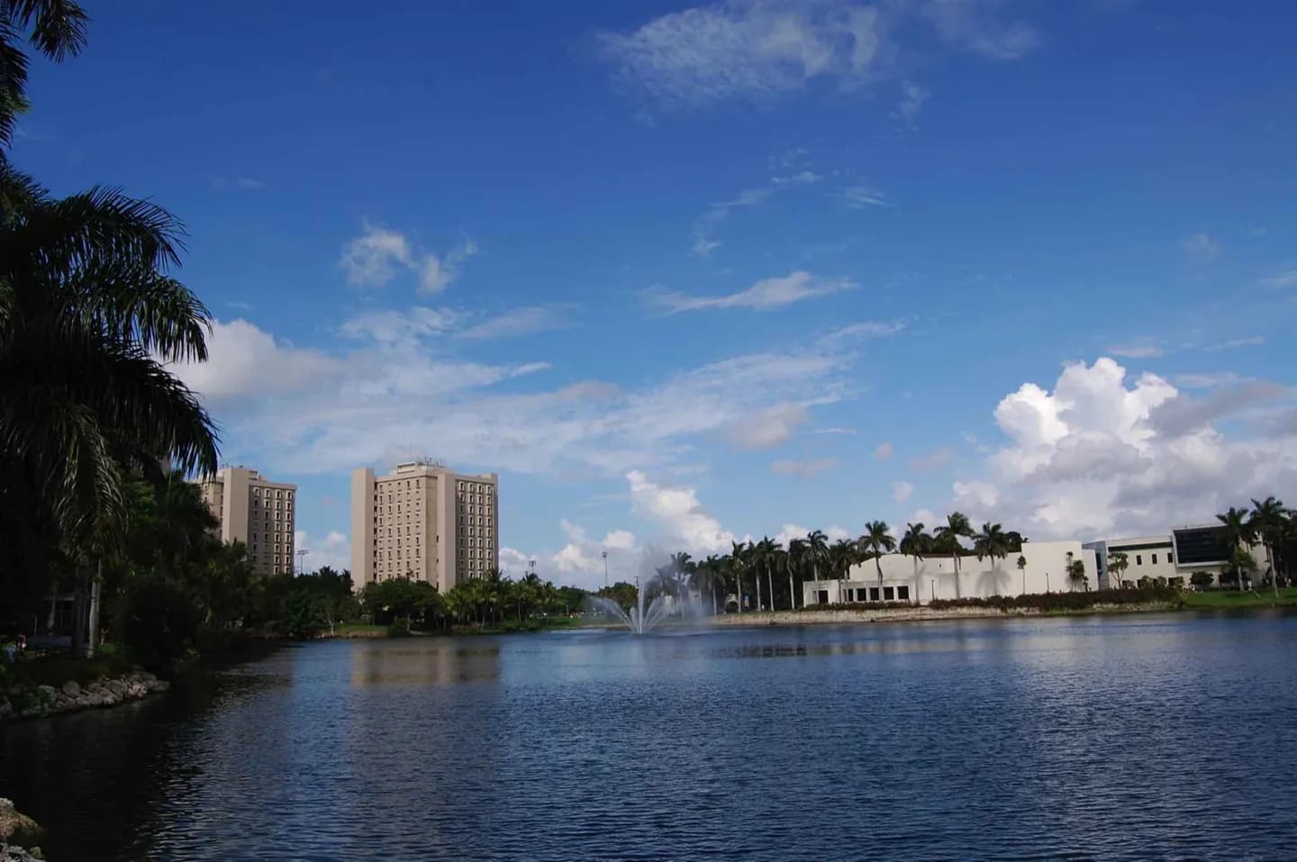 Universidade de Miami · 2