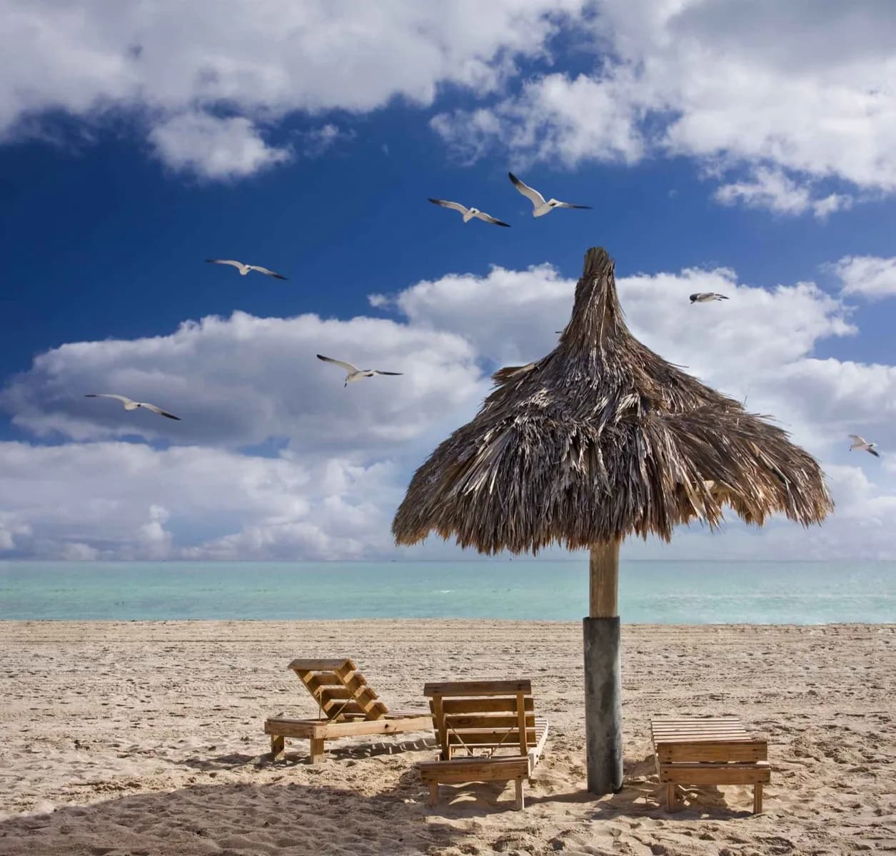 Planning for Miami's Climate