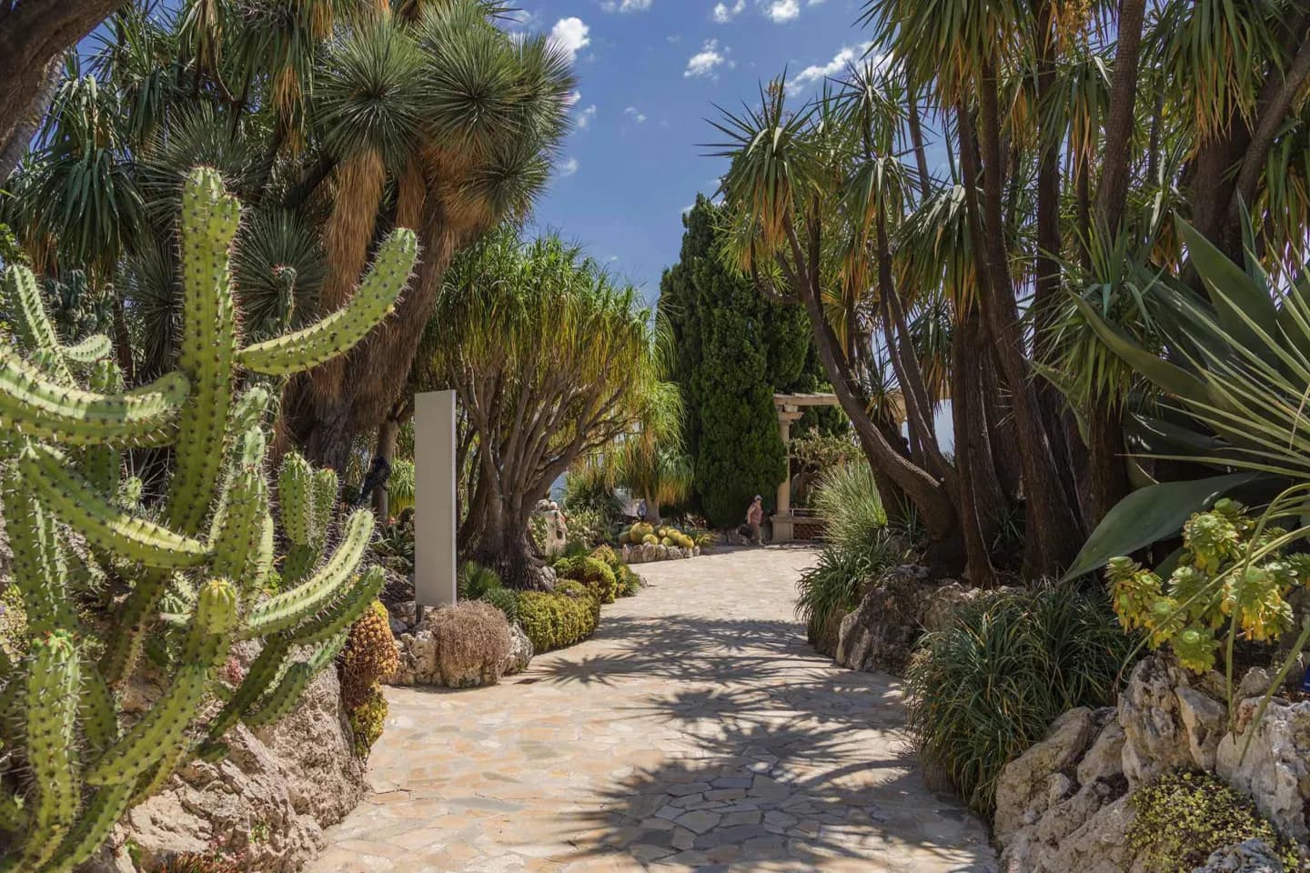 Jardín Exótico de Mónaco · 2