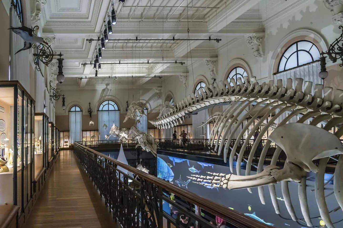 Oceanographic Museum of Monaco