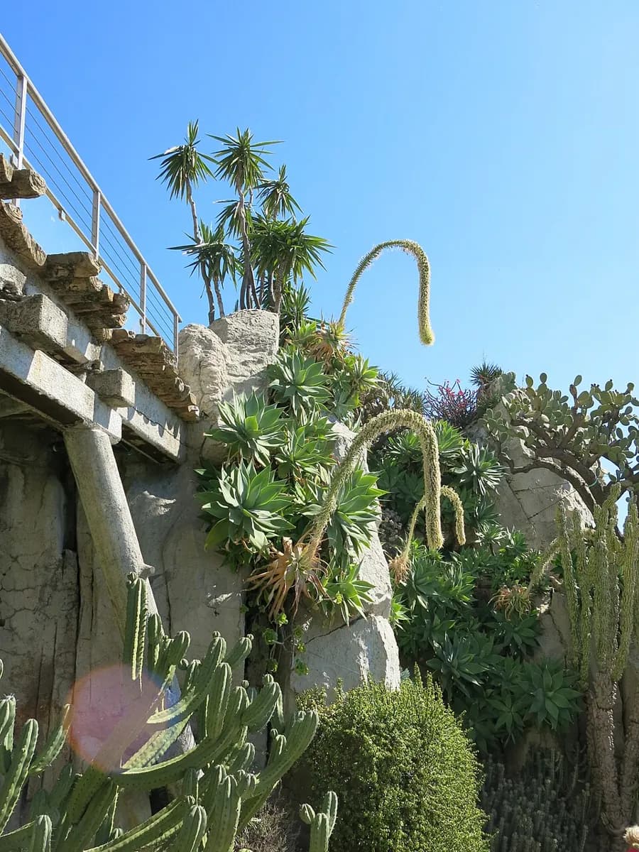 Exotic Garden, Cave and Hillside Discoveries