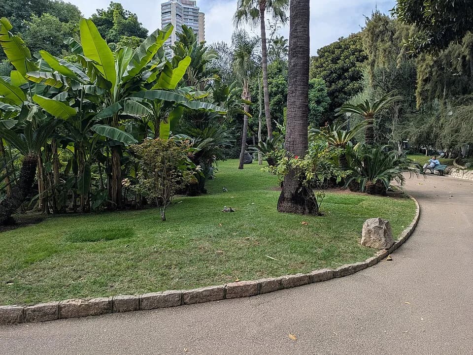 Jardins da Pequena África