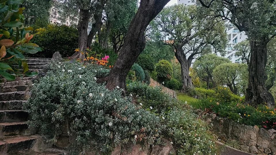 Princess Antoinette Park