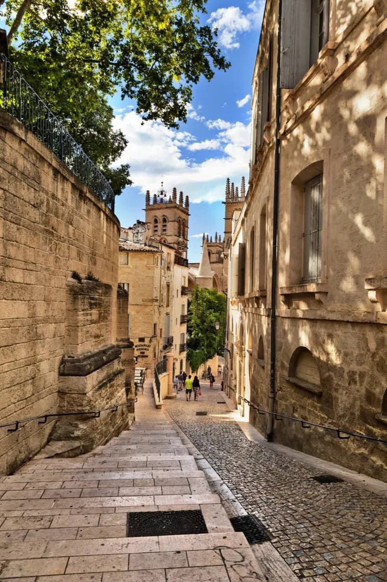 Montpellier After the Reformation