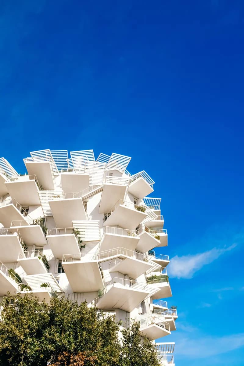 L'Arbre Blanc