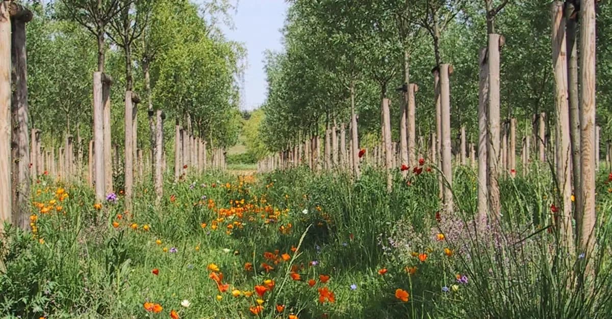 Parc Georges Charpak