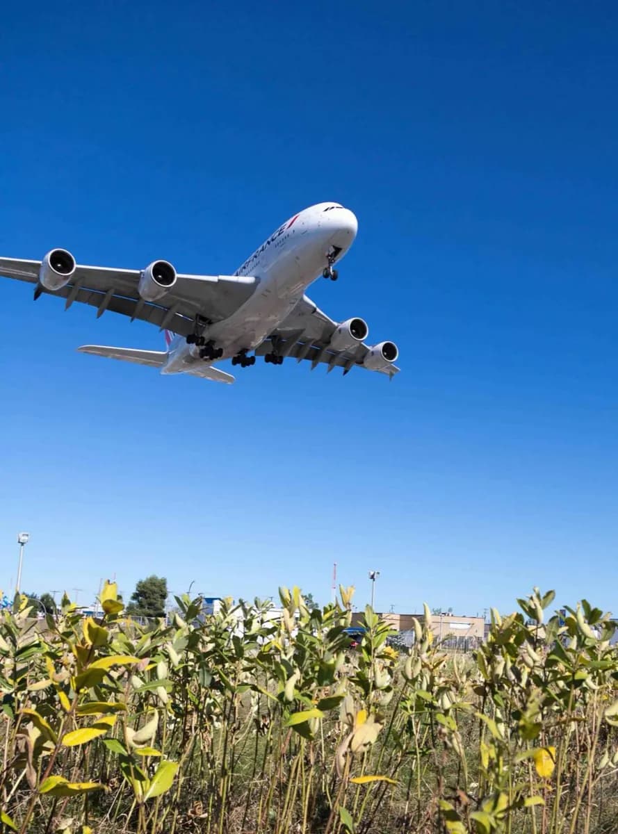 航空便で到着