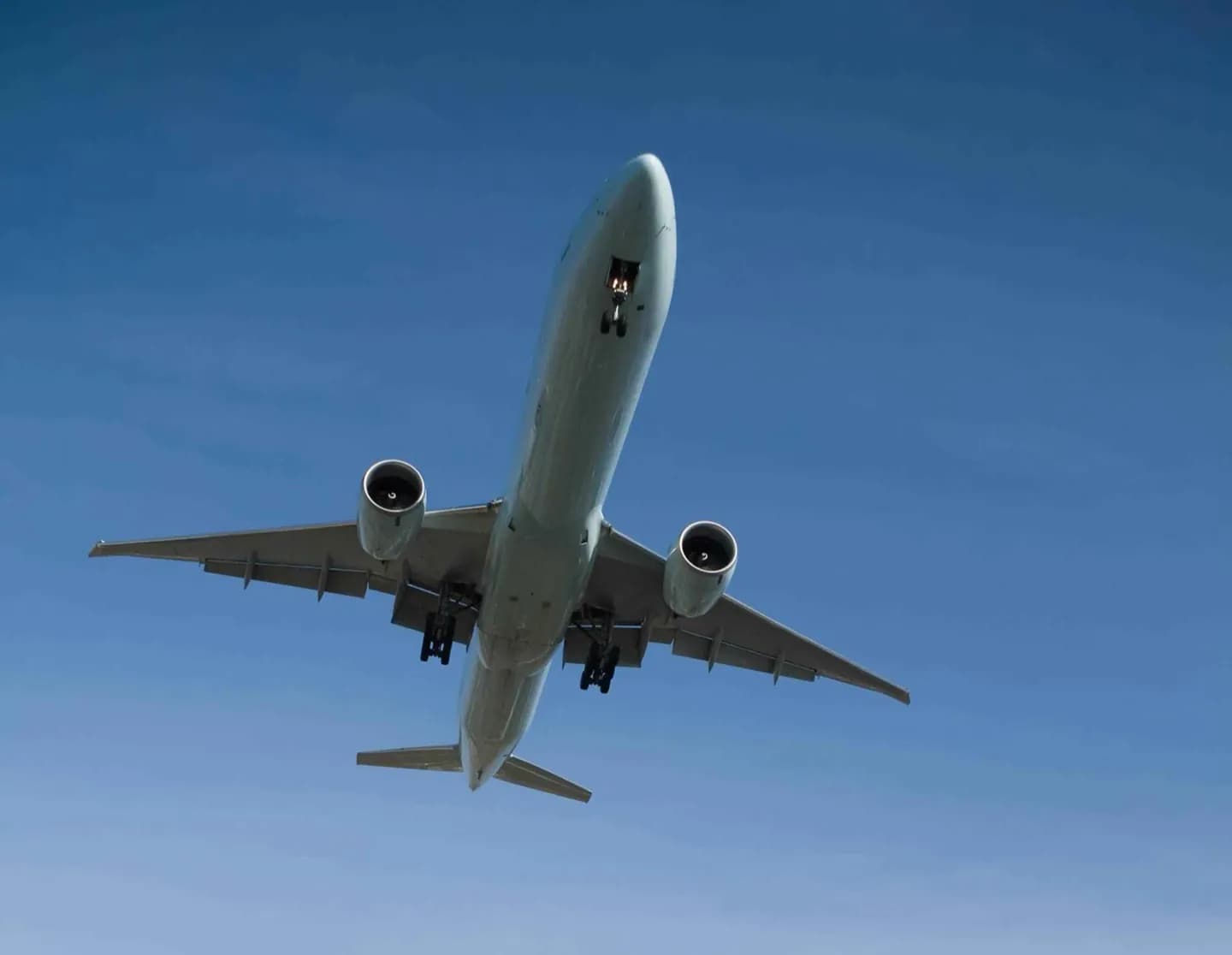 航空便で到着 · 2