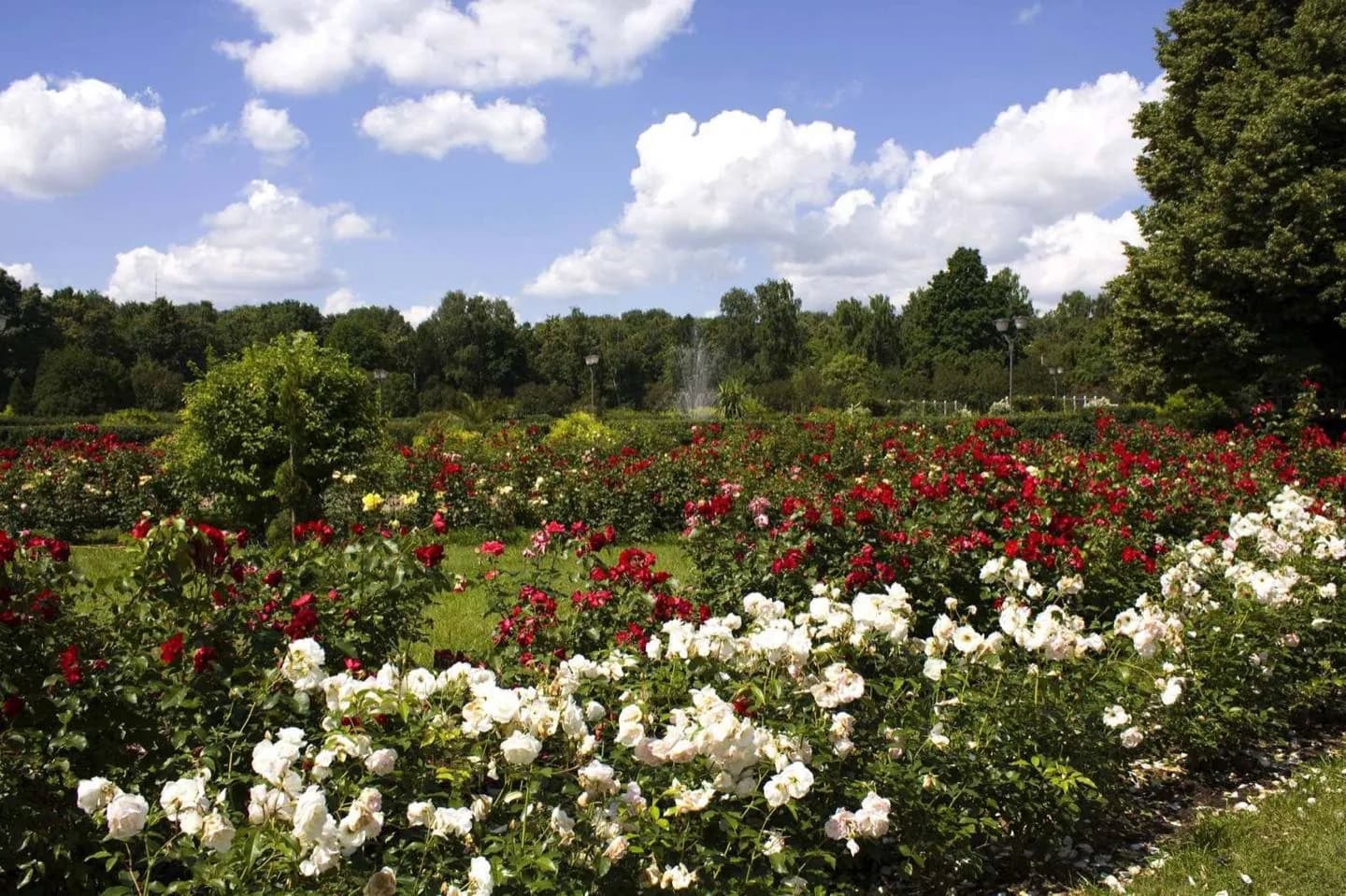 Sokolniki Park