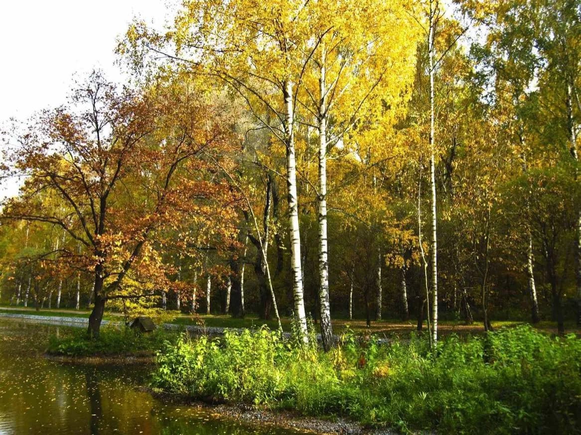 Sokolniki Park · 2