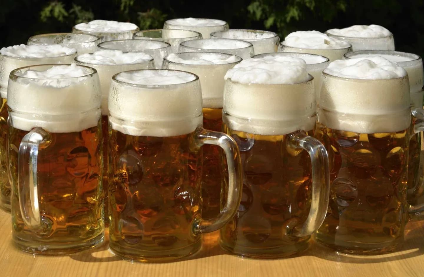Beer Gardens and Beer Halls