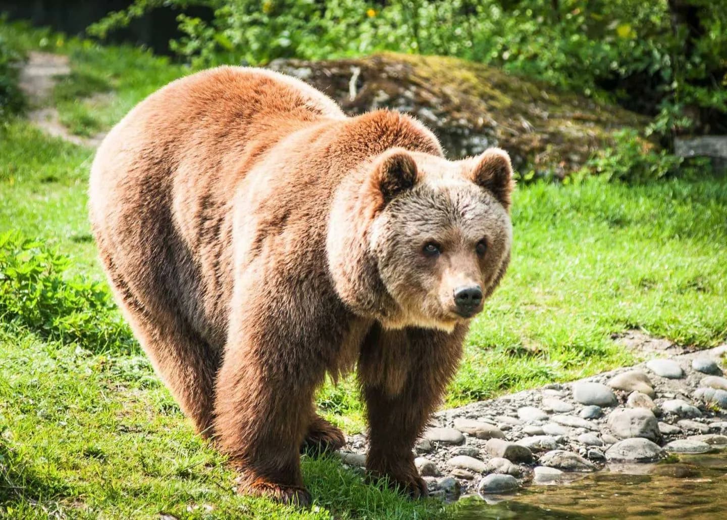 Zoológico de Hellabrunn
