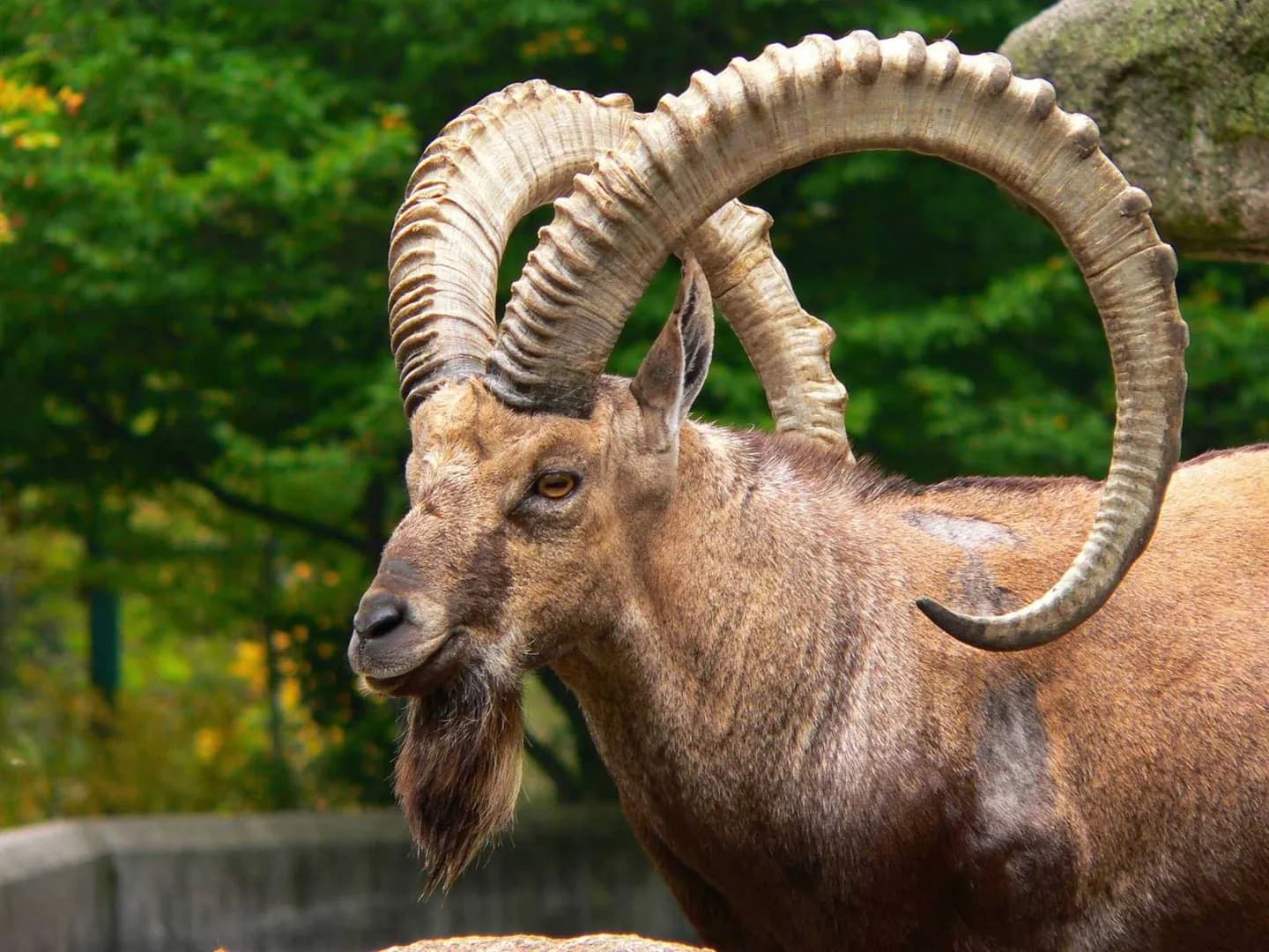 Zoológico de Hellabrunn · 2