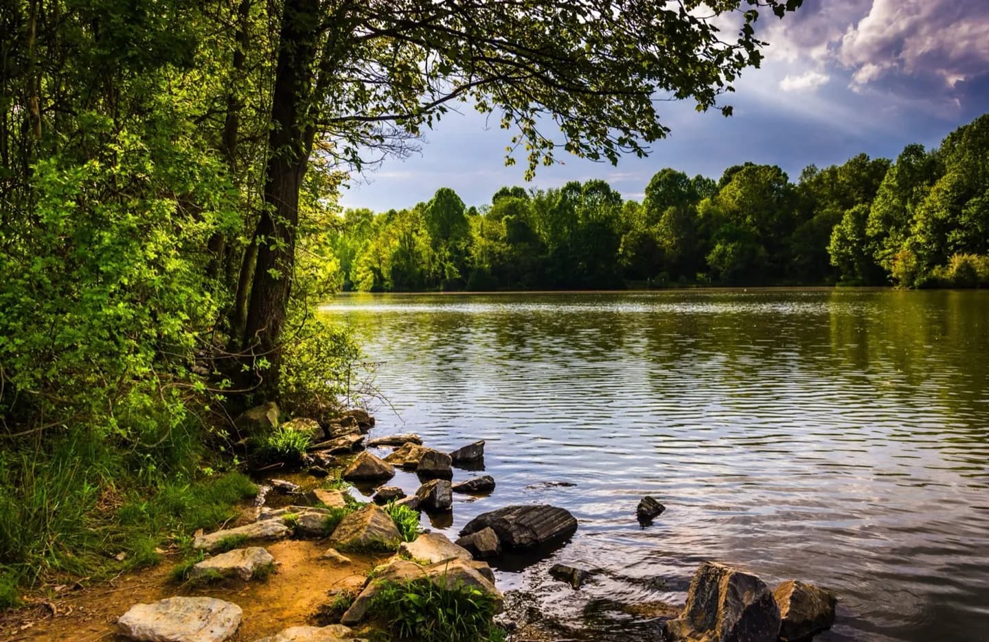 Welcher Park in Nashville passt zu Ihrem Tag?